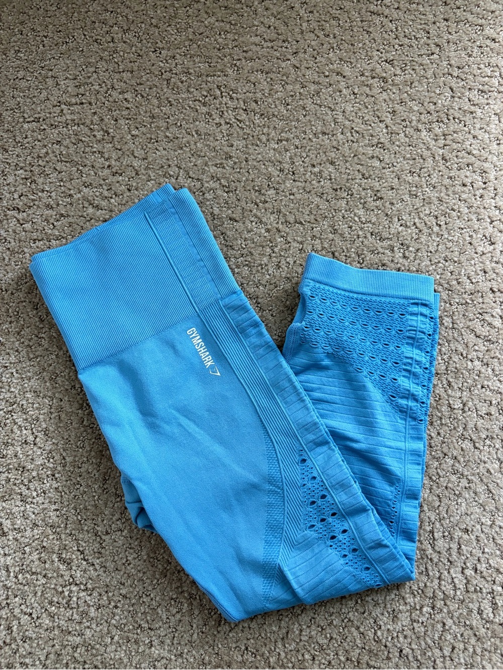 Gymshark Blue Seamless Leggings